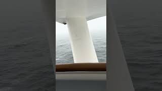 Almost blown off cruise ship balcony in Alaskan Storm. #cruiselife #cruiseship #storms