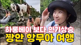 하노이 닌빈 오토바이 여행 : 항무아 짱안 여행비 만들기 50대 당근 아르바이트