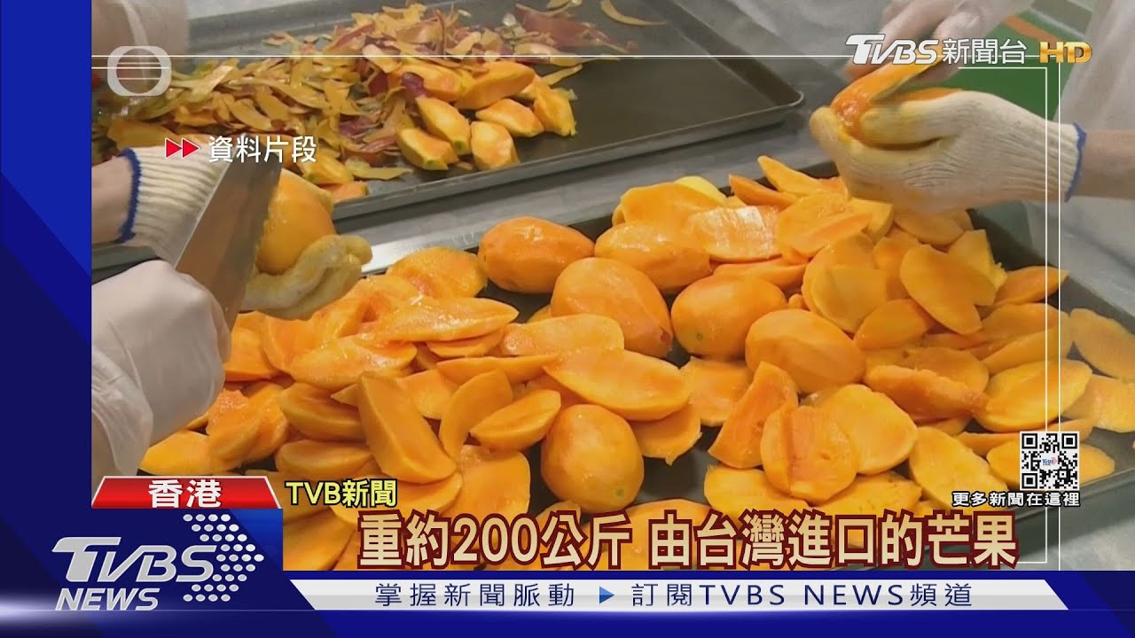 台芒果被確診？港銷毀200kg　防檢局：無科學依據