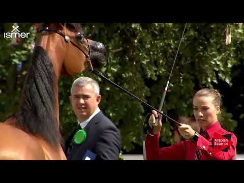 N.24 SAYYIDAH BINT AL SHAREEFAH - Strohen 2018 C European