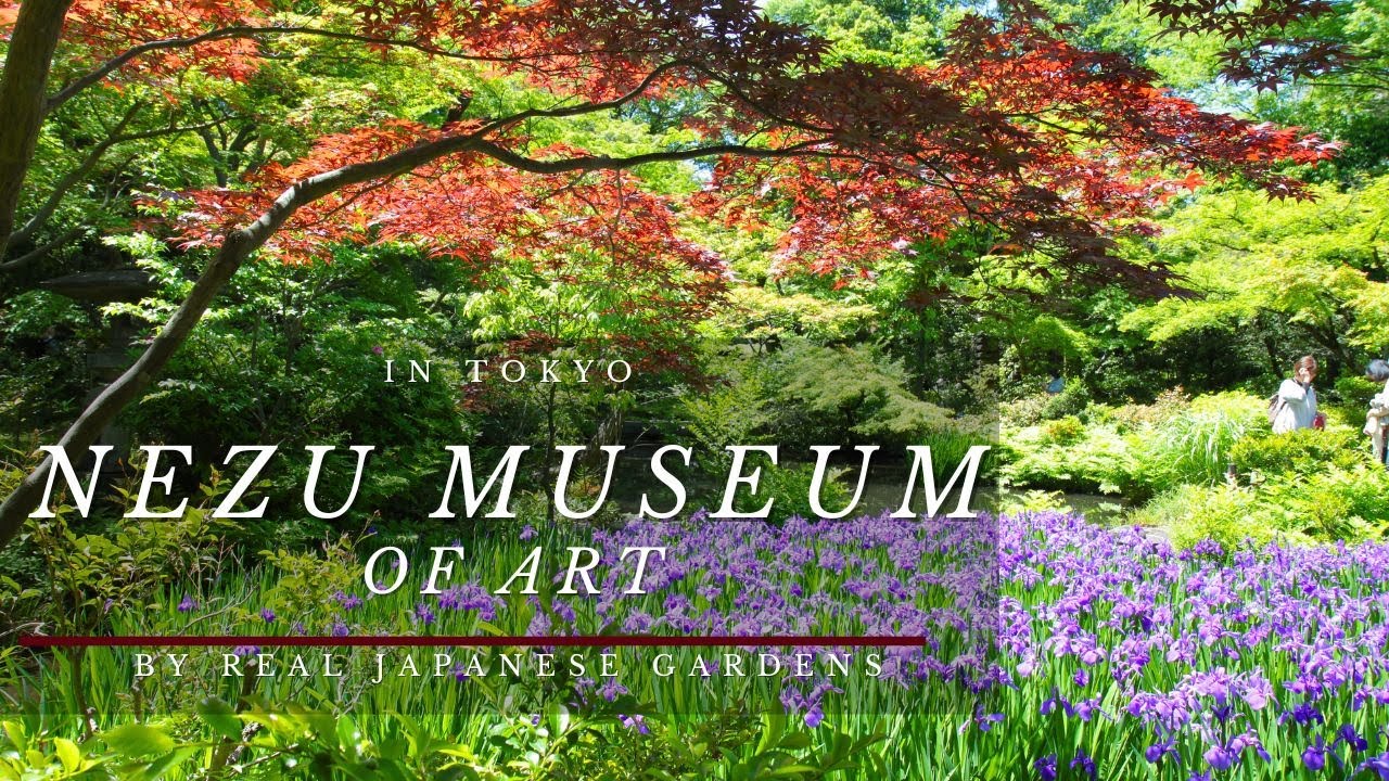 Dive into visual exploration through the Nezu Museum and its serene garden.