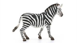 Schleich Zebra