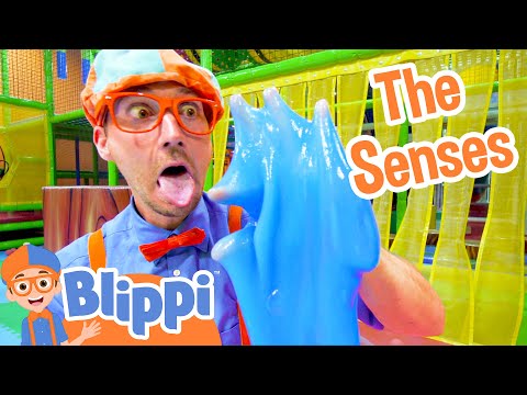 Blippi Learns the 5 Senses at a Play Place | Blippi Full Episodes | Educational Videos | Blippi Toys