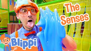 Blippi Learns the 5 Senses at a Play Place | Educational Toddler Videos