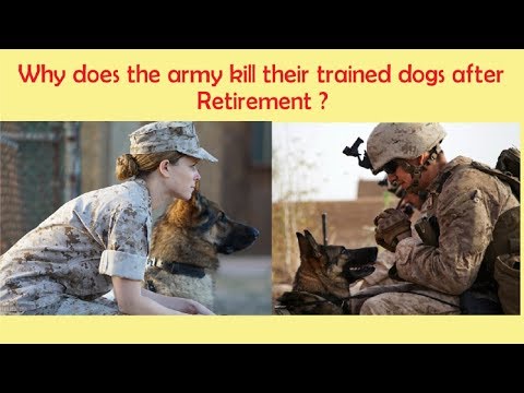 https://www.youtube.com/watch?v=unFy1Oy7TrU
