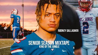 Rodney Gallagher: King of the Jungle