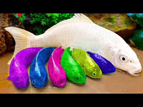 Stop Motion Magnetic Fish - Giant Python, Cute Turtle, Rainbow Snake Trap Eel Koi Aquarium