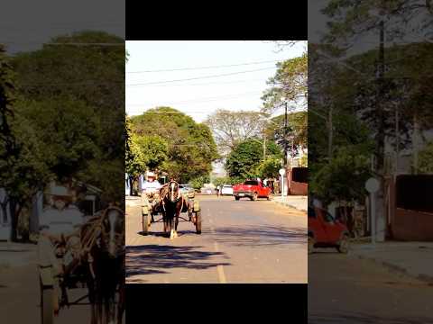 ELDORADO / MATO GROSSO DO SUL