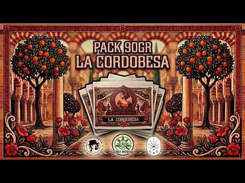 ¡90 GRAMOS DE FLORES PEQUEÑAS! 😱 La Cordobesa (Profesor CBD) a prueba