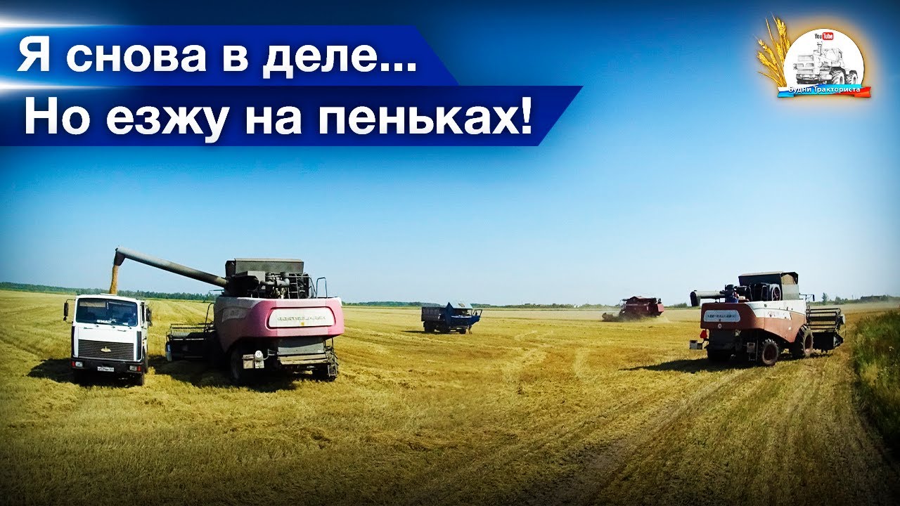 Подо мной на МАЗе лопается не только балка) Молотят ячмень два ПАЛЕССЕ и два АКРОСа.