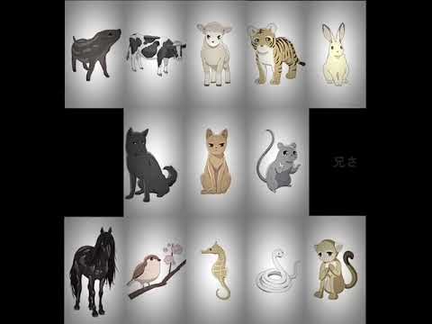 tohru is lucky #anime #fruitbasket #tohru #yuki #kyo #haru