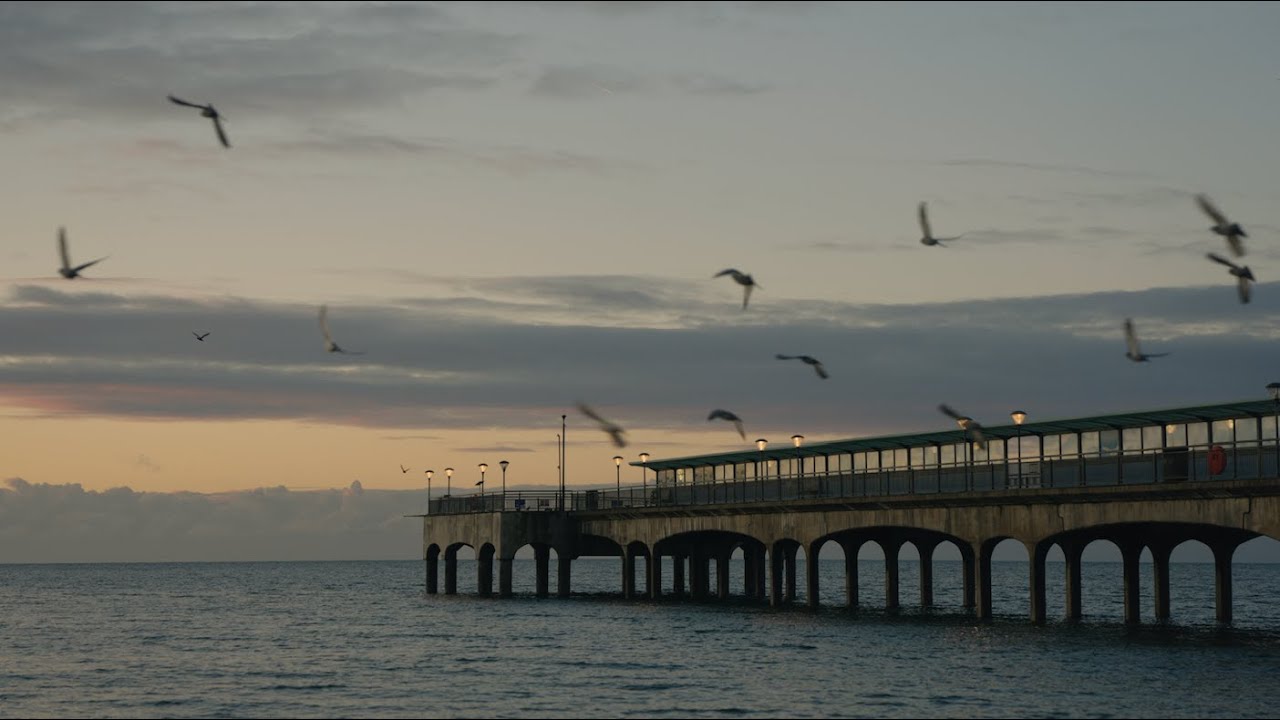 Sauna House, Boscombe