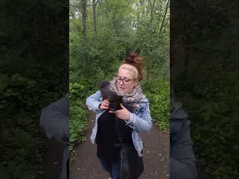 Why you shouldn't feed wild animals.