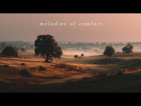 Melodies of comfort | Piano Playlist
