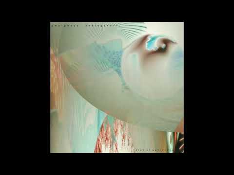 Amorphous Androgynous - Liquid Insects