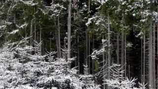 Winter-Meditation 2013