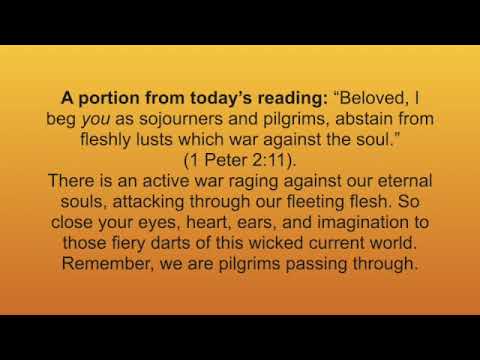 A portion from today's reading: November 25, 2021