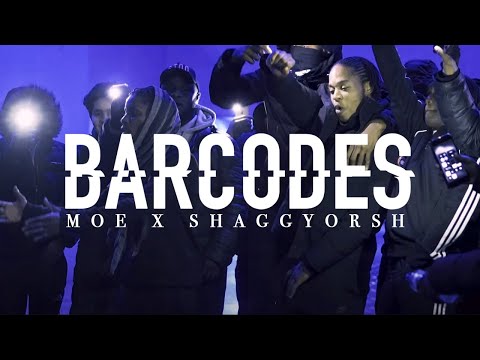 Moe x ShaggyorSh (MaddessFamily)  - Barcodes (Music video)