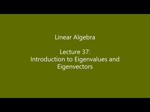 Linear Algebra - Lecture 37: Introduction to Eigenvalues and Eigenvectors