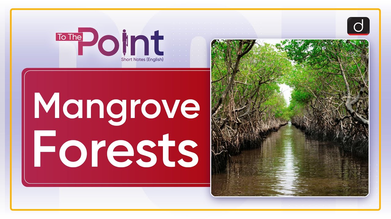 Visual explainer on community mangrove restoration methods in India