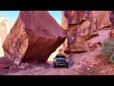 2022 Ford F-150 Raptor SuperCrew by Buck Overland