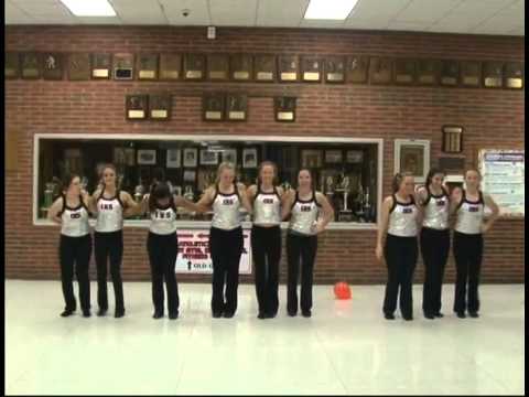 IHS LipDub 2014 -- "Shake It Off"