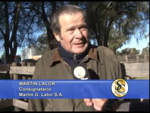 Martin G. Lalor S.A. - Benito Juarez - Parte 1 - 22/04/2014