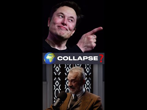 The end is crazy ???? Jordan Peterson and Elon Musk on Population Collapse ????