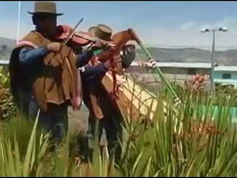 TIERNA AVECILLA - JULIA ILLANES