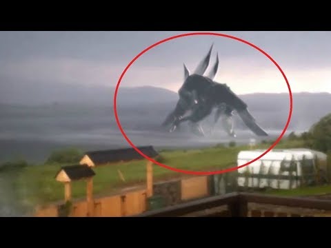 5 Giant Creatures Caught on Camera Video