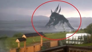 5 Giant Creatures Caught on Camera
