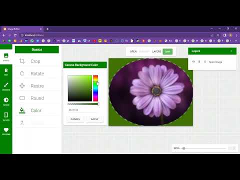 Image Editors Rechanged Image Colors in PHP Application Projects