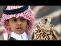 Arabic Boy Reciting Holy Quran And The Bird Sitting On His Shoulder Lesting To Him