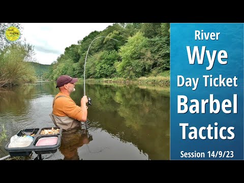Day Ticket River Wye Barbel Fishing - Peace, Tranquillity & Epic Float Battles - 14/9/23 (Vid 434)