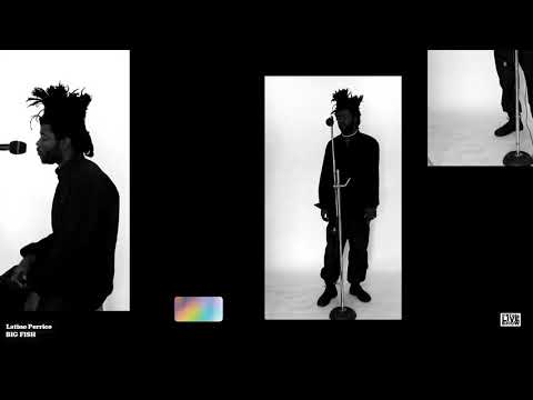 LATINO PERRICO - NOVEMBER 2020 VIRTUAL LIVE PERFORMANCE