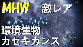 【MHW】もう手に入れた⁉レア環境生物カセキカンスの出現場所の解説です!