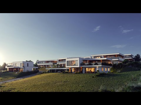 3D Animation