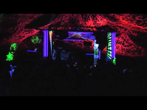 PSYCROWDELICA 2011   HYPERACTIVE 25 HD