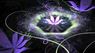 Gathering Fortune from Ten Thousand Miles Away