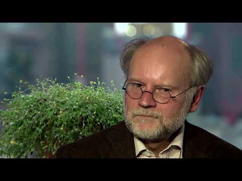 Die Mythen der Sumerer - "Ein Götterhimmel voll von Zorn" (dctp.tv)