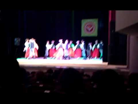 JDK ODZINA - "Es vareju sadziedat"