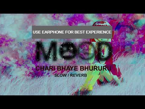 Chari Bhaye Bhururu Janthe Udera (माथी माथी हिमालि भेगमा )- Babina Kiratee - SLOW/REVERB