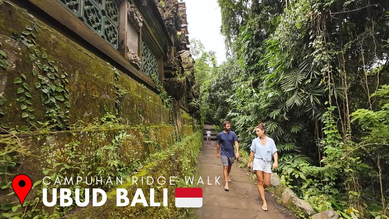 Embark on a virtual journey through Campuhan Ridge Walk.