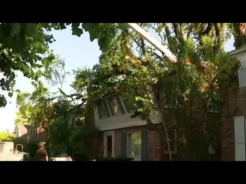 Grosse Pointe Woods residents work to repair damage after severe storms