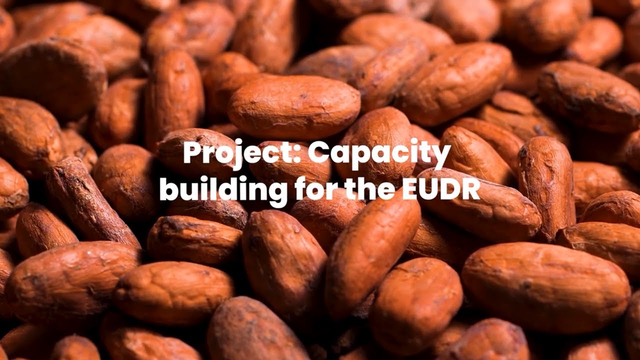 Equipping Ecuador’s cocoa farmers for the EU Deforestation Regulation