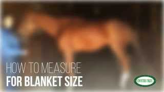 preview picture of video 'How-To! : Measure Country Pride Horse Blankets!'