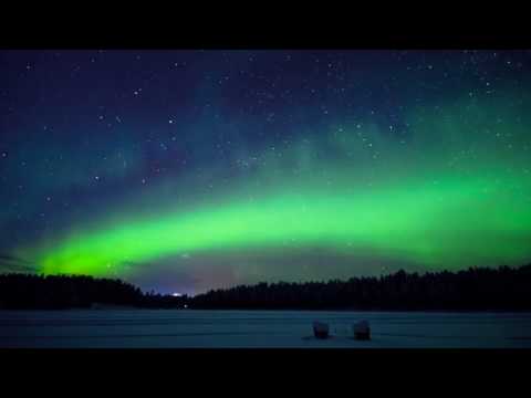 Phaeny - Without You