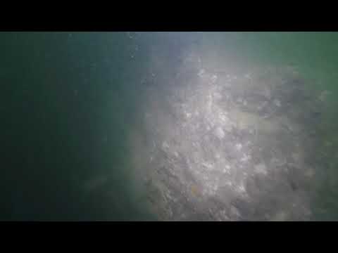 DWALL頂(-5.00mPD) 鋼筋突出情況(4)