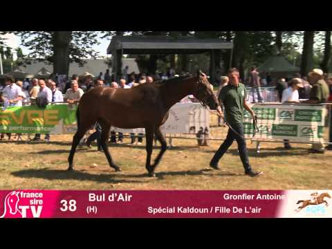 Lot 38 - Decize 2013