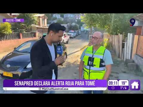 Avanza investigación de incendio en Tomé: Incendio forestal y 3 viviendas destruidas